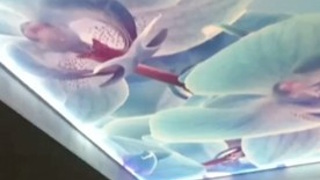 Натяжной потолок с фотопечатью